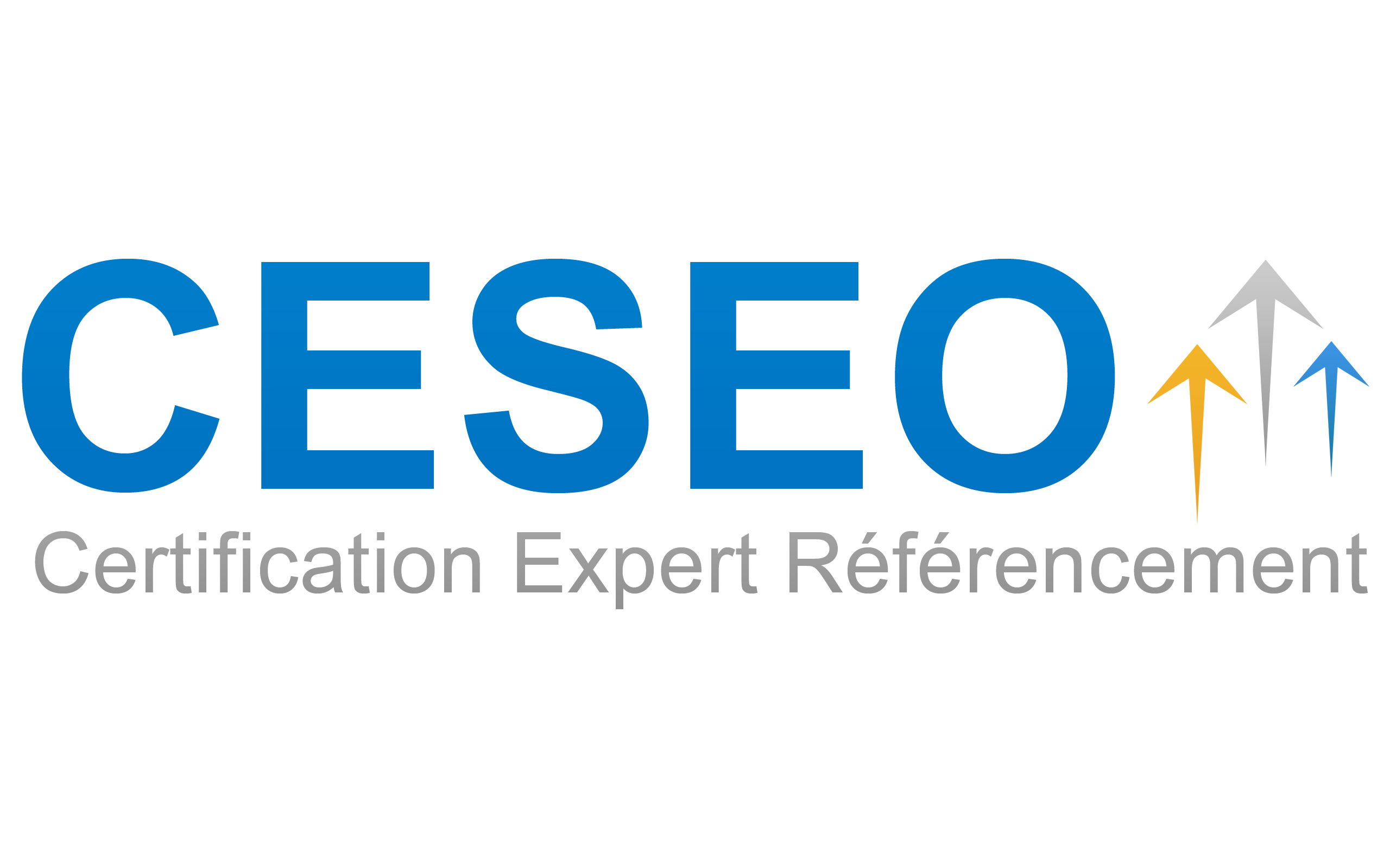 ceseo-certification-seo-referencement-naturel
